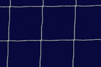 сетка минифутбольная ? 2,2 мм glav 07.200