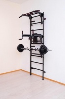 шведская стенка "гладиатор" с брусьями и навесом для жима шс-024 apolonsport