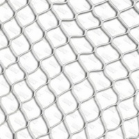 сетка для футбольных ворот 5х2 м, нить d=2,2 мм glav 15.206