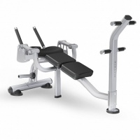 скамья для скручивания matrix magnum mg pl50